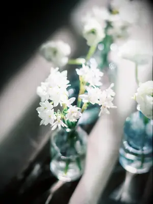 A blue bud vase filled with white narcissus paperwhite flowers