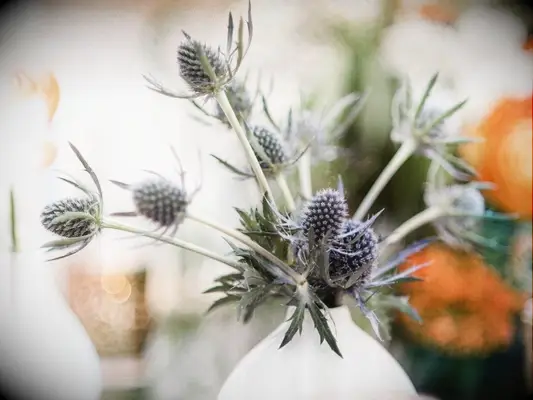 A white bud vase with blue thistles 