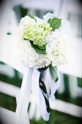 White viburnum flower arrangements