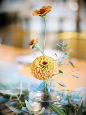 A bud vase with three stems of zinnia blooms