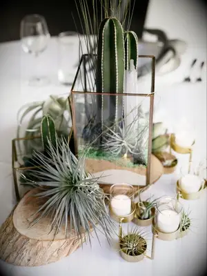 Wedding reception centerpiece with cactus in terrarium and assortment of air plants