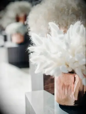 Arrangement of bunny