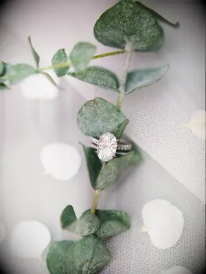 Engagement ring on eucalyptus branch