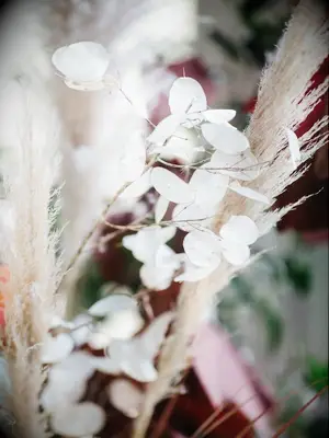 Dried lunaria leaves in floral arrangement