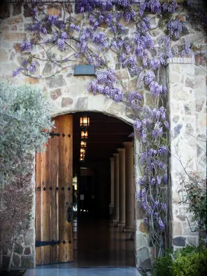 A purple hanging flower vine, curling over a stone entryway.