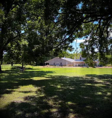 A dappled garden at Euchee Butterfly Farm in Tulsa County, Oklahoma