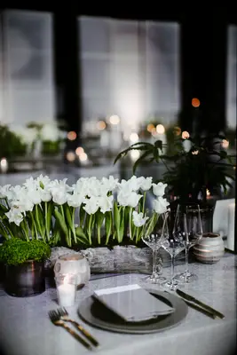 spring wedding centerpiece featuring white tulips in hollowed out wooden log
