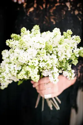small spring wedding bouquet with white lilacs
