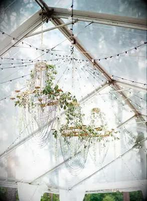 three gold antique style chandeliers hanging from clear top reception tent decorated with greenery vines