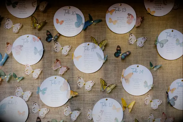 wedding seating chart display decorated with faux butterflies in pastel blue, pink and yellow colors