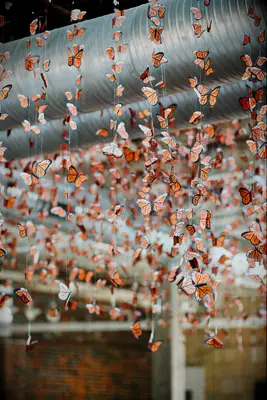 monarch butterfly garlands for your spring wedding decor ideas