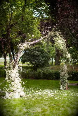 outdoor wedding ceremony arch made from birch branches decorated with white flowers