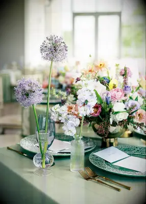 Alliums, roses and poppys