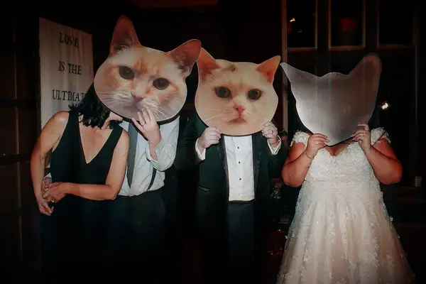 Internet cat cutouts for the best wedding photo booth props