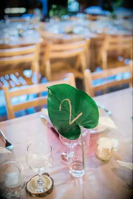Tropical greens wedding table numbers