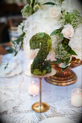 Moss wedding table numbers on gold stand