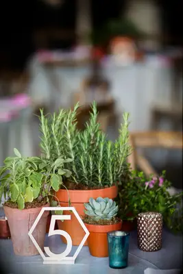 Wood hexagon wedding table numbers 