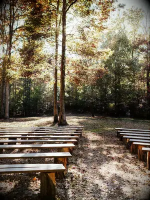 Wooden ceremony benches at a fall wedding