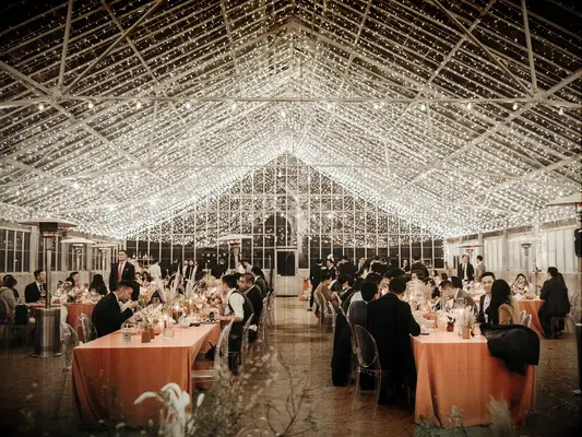 Canopy of string lights at a fall wedding