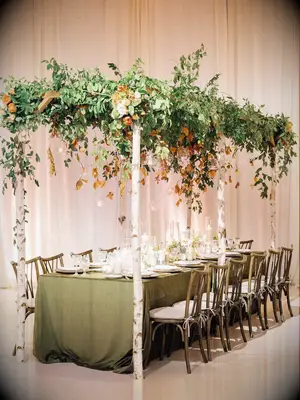 Rustic wedding reception canopy