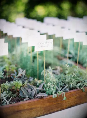 Garden box escort card display