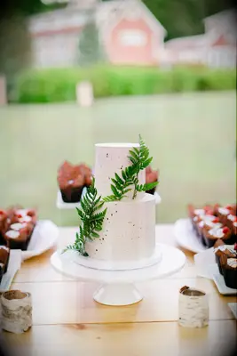 Rustic two-tier wedding cake with fern decorations