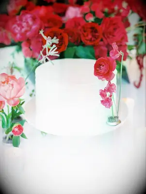 Single-tier white cake with pink fresh flower accents