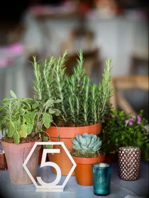 centerpiece with potted herbs