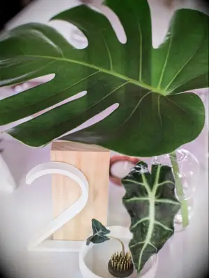 monstera leaf centerpiece