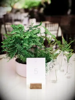 fern centerpiece