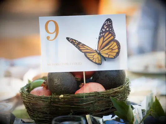 Avocado stone fruit butterfly wedding table arrangement centerpieces