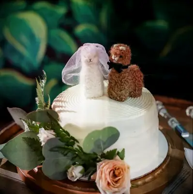 Needle Felted Alpaca Funny Wedding Cake Toppers