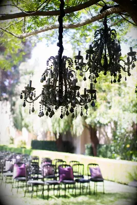 Black chandeliers on a tree