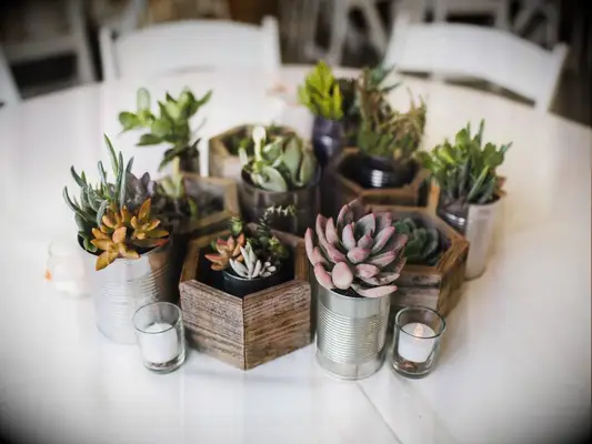 Rustic succulent in wood planter centerpieces.