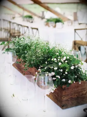 DIY decor wedding idea of a greenery planter centerpiece.