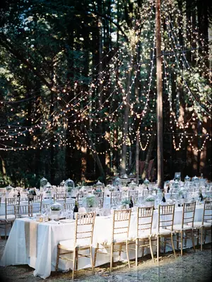 String light tent at DIY backyard wedding.
