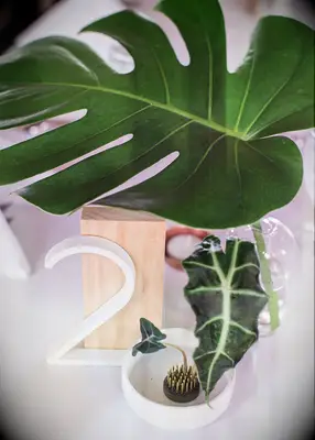 Minimal monstera leaf DIY wedding centerpieces