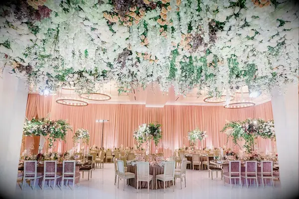 Upside Down Ceiling Garden