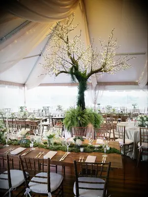 Tree centerpiece for event space