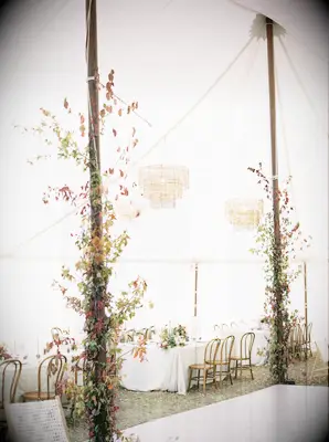 Colorful fall branches