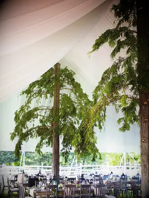 Faux tree tent poles