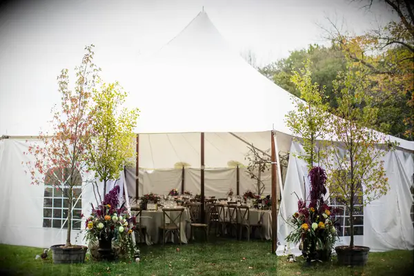 Potted seasonal plants