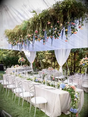 Hanging spring foliage