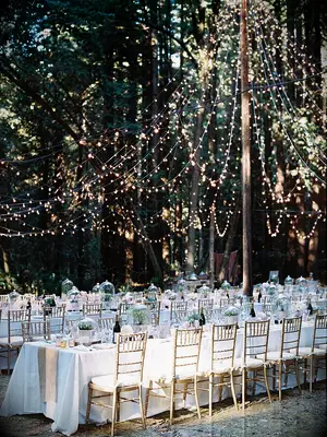 Hanging twinkling lights