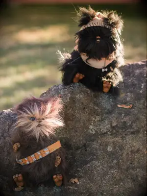 Star Wars ewok wedding decorations