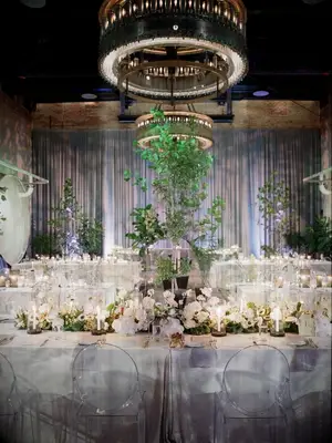 Glam wedding with draping and uplighting