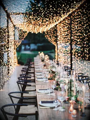 Wedding reception dinner table under canopy of twinkle lights