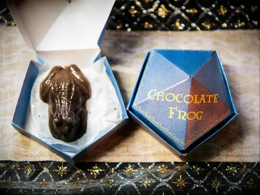 harry potter wedding ideas chocolate frog favors