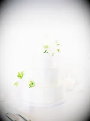 Simple white wedding cake