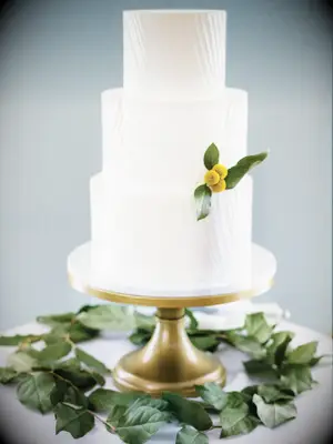 Simple white wedding cake with textured icing